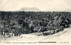 Figuig 014- Collection Montaner_2